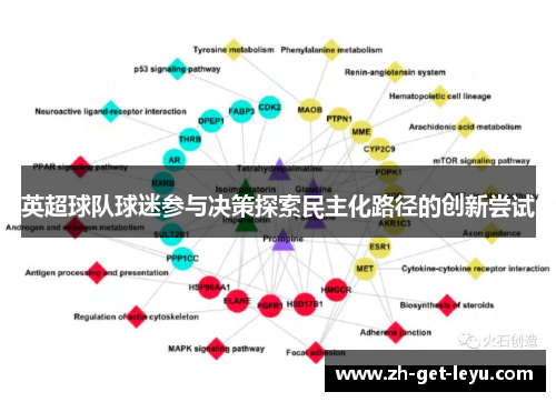 英超球队球迷参与决策探索民主化路径的创新尝试