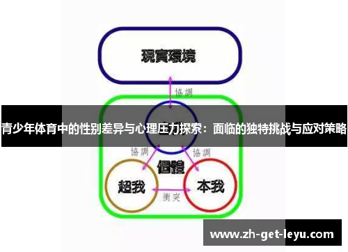 青少年体育中的性别差异与心理压力探索:面临的独特挑战与应对策略 青少年体育中的性别差异与心理压力探索:面临的独特挑战与应对策略