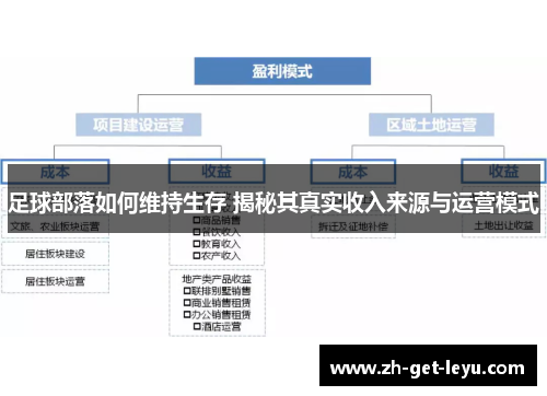 足球部落如何维持生存 揭秘其真实收入来源与运营模式
