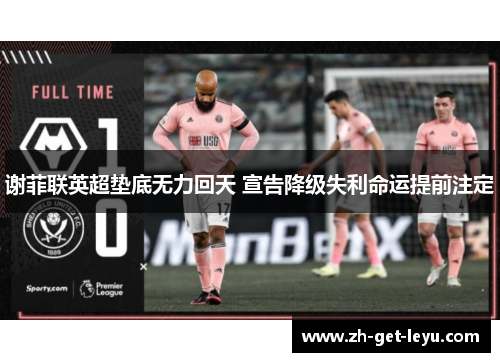 谢菲联英超垫底无力回天 宣告降级失利命运提前注定
