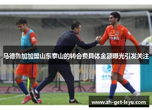 马德鲁加加盟山东泰山的转会费具体金额曝光引发关注