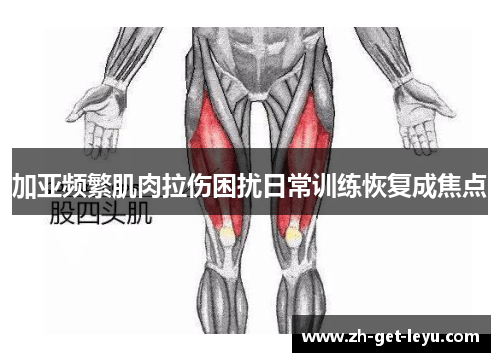 加亚频繁肌肉拉伤困扰日常训练恢复成焦点